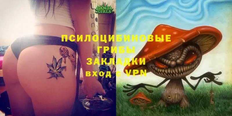 Псилоцибиновые грибы MAGIC MUSHROOMS  Полысаево 